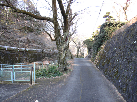 20170126hike (5)